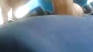 Diadaptasi pikeun da Foda-se (Kallie Joe) - 2024-05-24 01:37:57